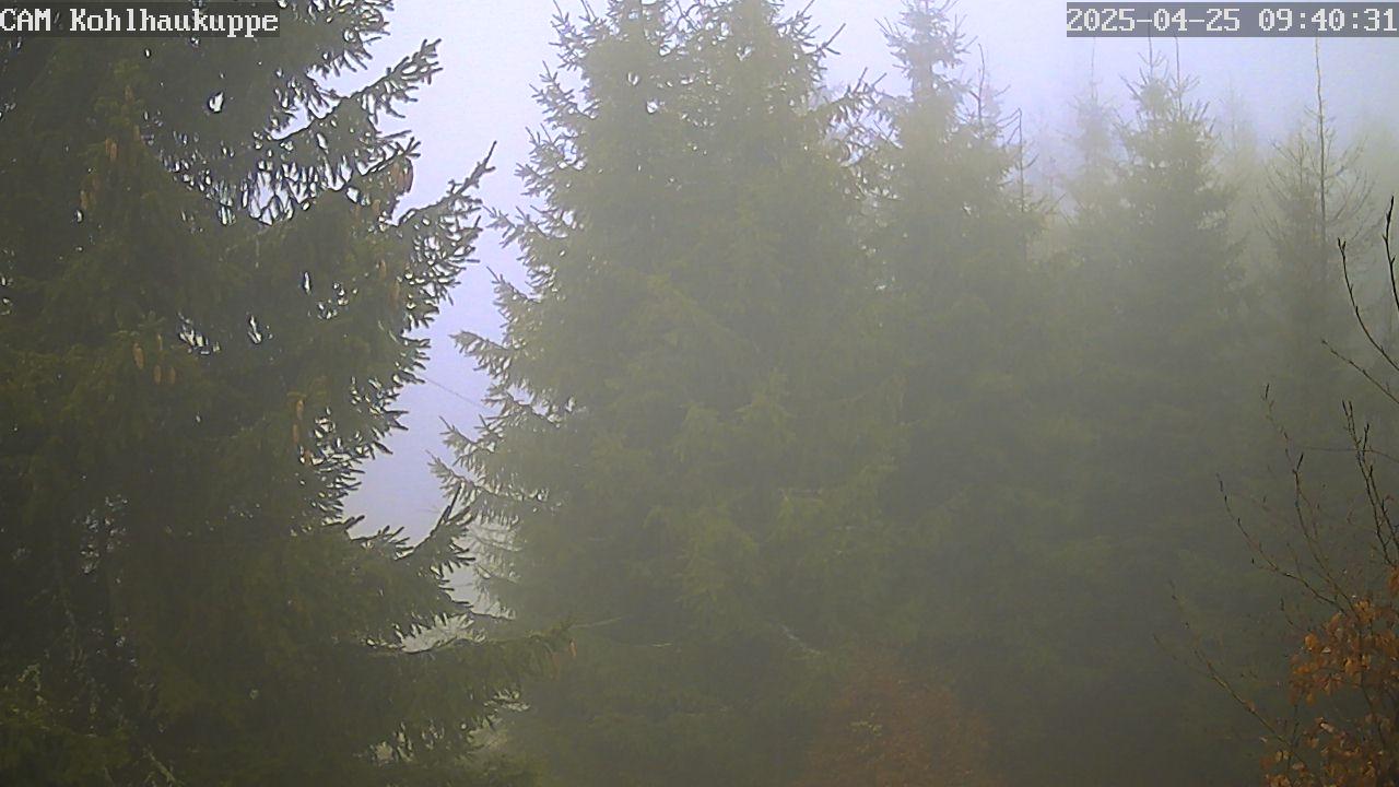 Blick von der Kohlhaukuppe über Geising zum Geisingberg